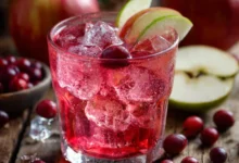 Blender Apple, Cranberry, and Apple Cider Vinegar Drink: A Refreshing and Healthy Beverage