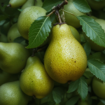 A Guide to Lychee, with Tips, Ideas & Recipes
