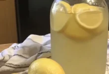 The Ultimate Guide to Crafting Perfect Homemade Lemonade