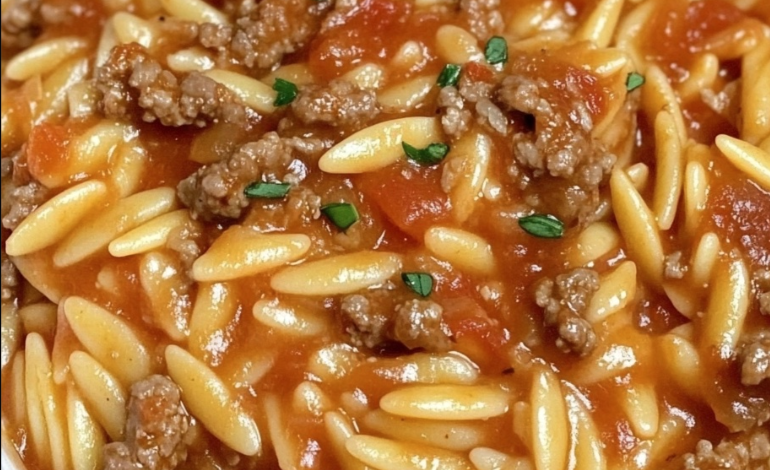 Ground Beef Orzo with Tomato Cream Sauce